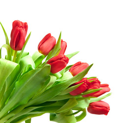 Similar image 862434