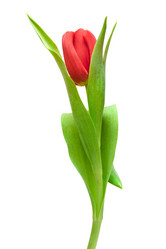 Similar image 862436