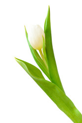 Similar image 862437