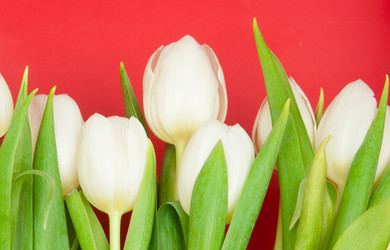 Similar image 862438