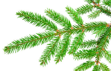 Similar image 862444