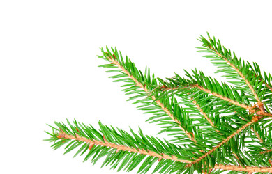 Similar image 862446