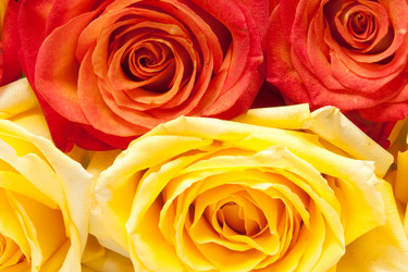 Similar image 862467