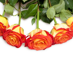 Similar image 862468