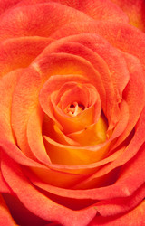 Similar image 862469