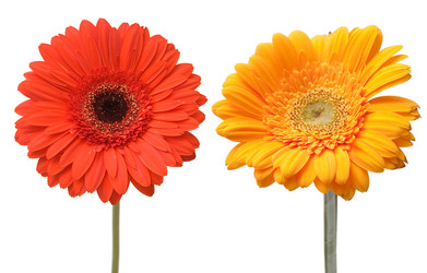 Similar image 862471