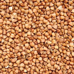 Similar image 862472