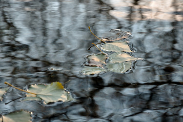 Similar image 862603