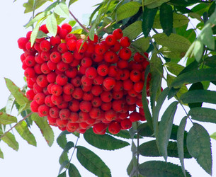 Similar image 862657