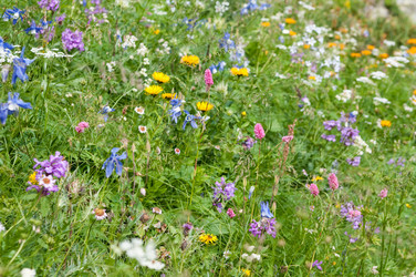 Similar image 862748