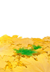 Similar image 862767