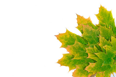 Similar image 862768