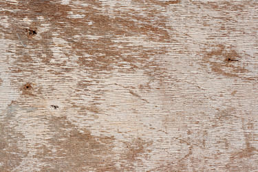 Similar image 862817