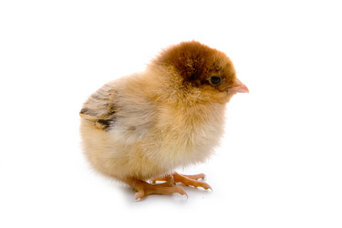 Similar image 862821