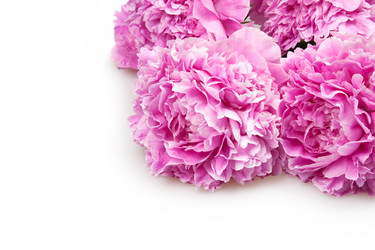 Similar image 862944