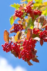 Similar image 862959