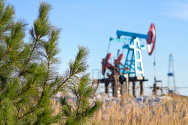 Similar image 863204