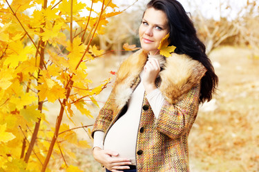 Similar image 863207