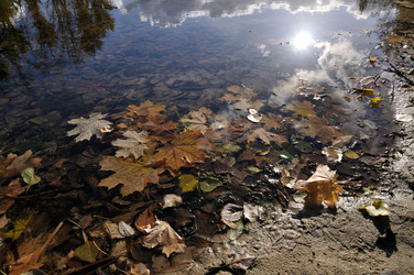 Similar image 863264