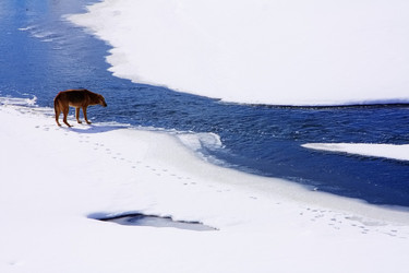 Similar image 863276