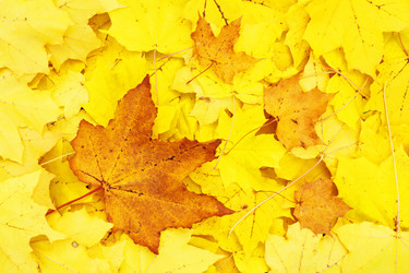 Similar image 863282