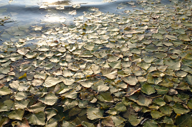 Similar image 863285