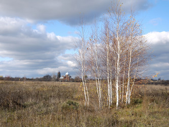 Similar image 863311