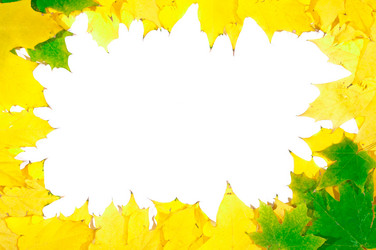 Similar image 863396