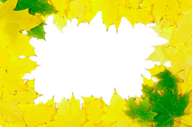 Similar image 863398