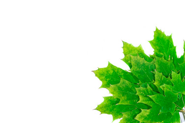 Similar image 863401