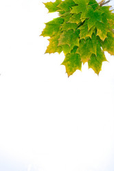 Similar image 863403