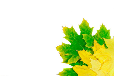 Similar image 863404