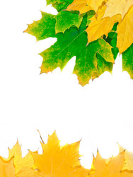 Similar image 863405