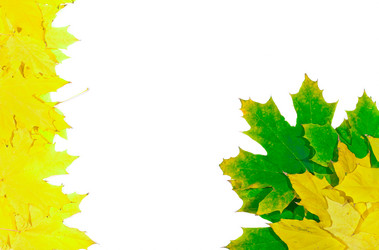 Similar image 863406