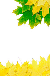 Similar image 863407