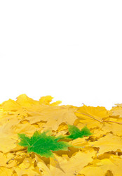 Similar image 863413