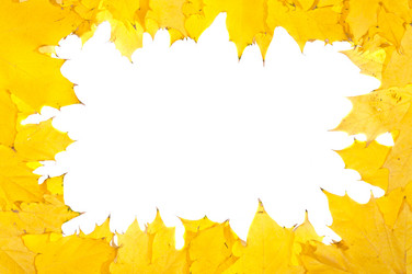 Similar image 863416