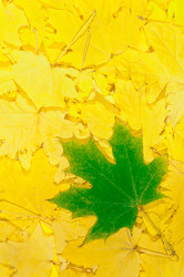 Similar image 863417