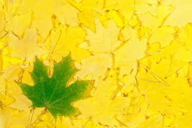 Similar image 863418