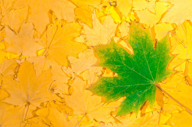 Similar image 863420