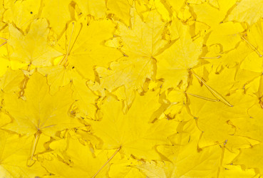 Similar image 863421