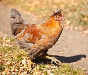 Similar image 863439