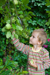 Similar image 863443