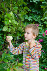 Similar image 863444