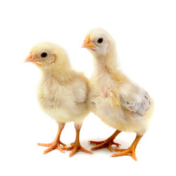 Similar image 863494