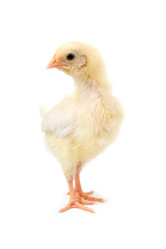 Similar image 863499