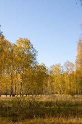 Similar image 863503