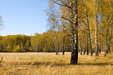 Similar image 863504