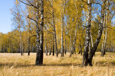 Similar image 863507