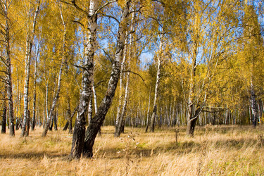 Similar image 863508